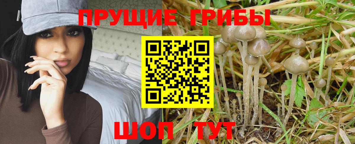 Галлюциногенные грибы мицелий  Вход с VPN  Лыткарино 